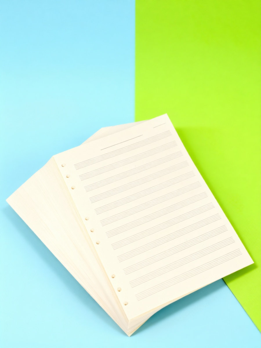 Blank Sheet Music Notebook - 100枚入り、5線譜、2mm間隔の楽譜用紙。学生や作曲家向けの、ページが綴じられていない、空白の楽譜ノート。