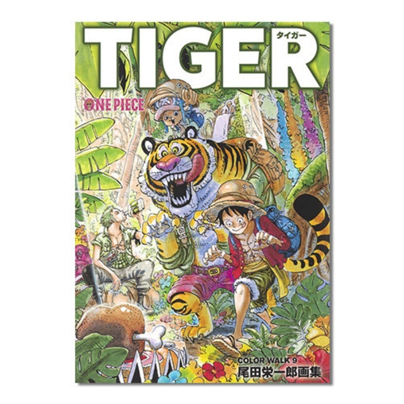 ワンピースイラストブック「カラー・ウォーク9」。公式アニメア - Stationery Books のレビューと価格